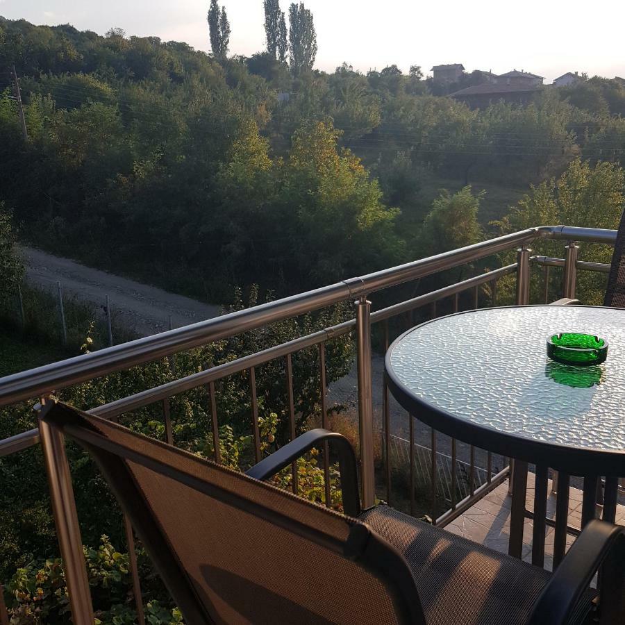 Guest House Ileana Сапарева Баня Екстер'єр фото