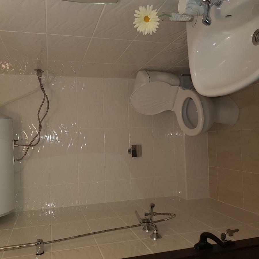 Guest House Ileana Сапарева Баня Екстер'єр фото
